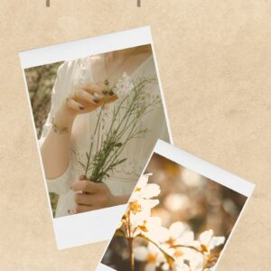 L'harmonie par les plantes